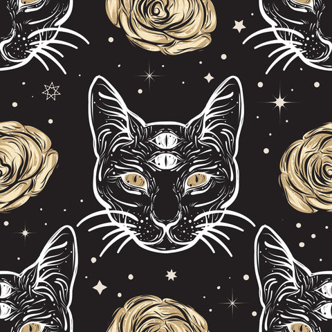 3ieme oeil du chat