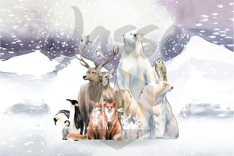 Animaux d'hiver