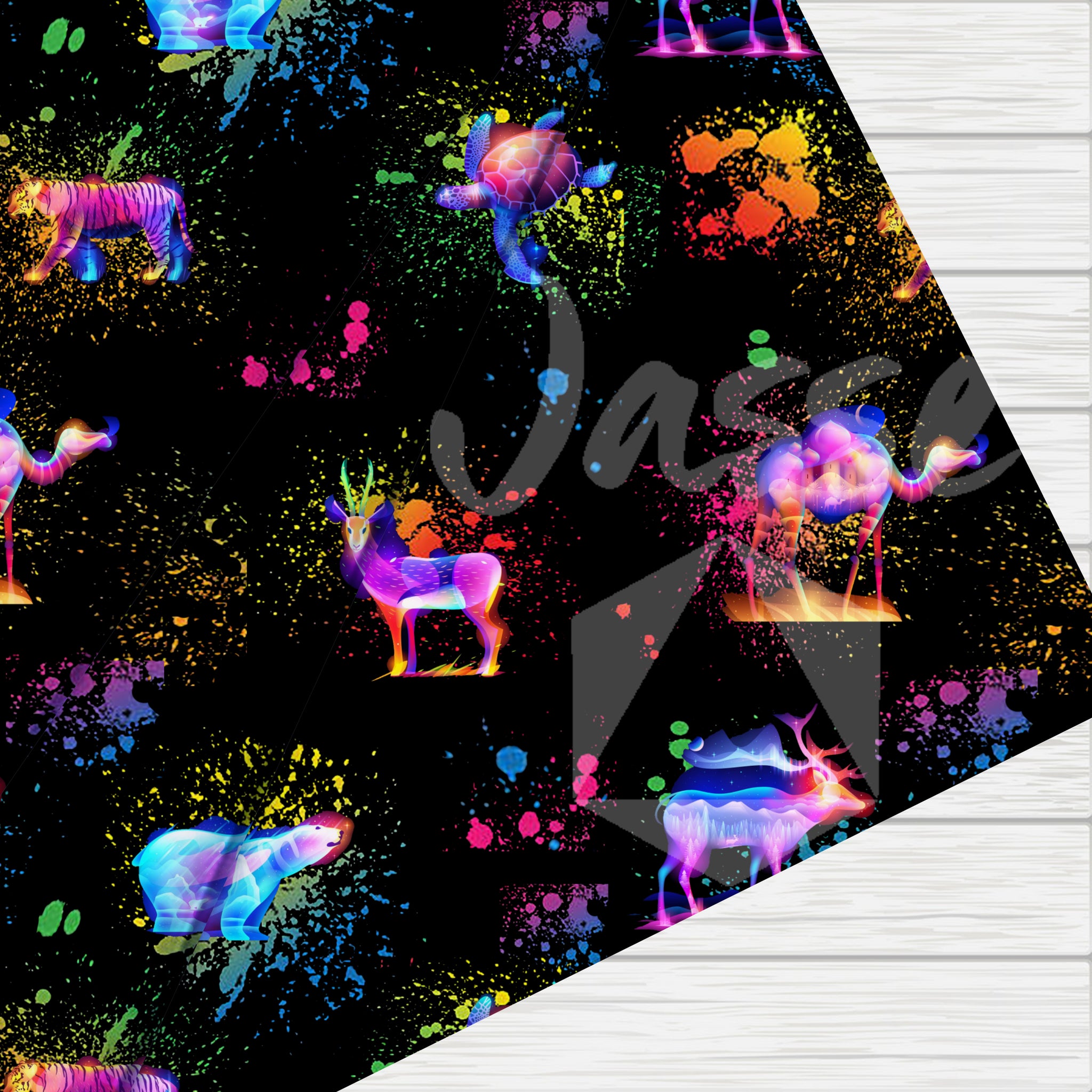 Animaux splash